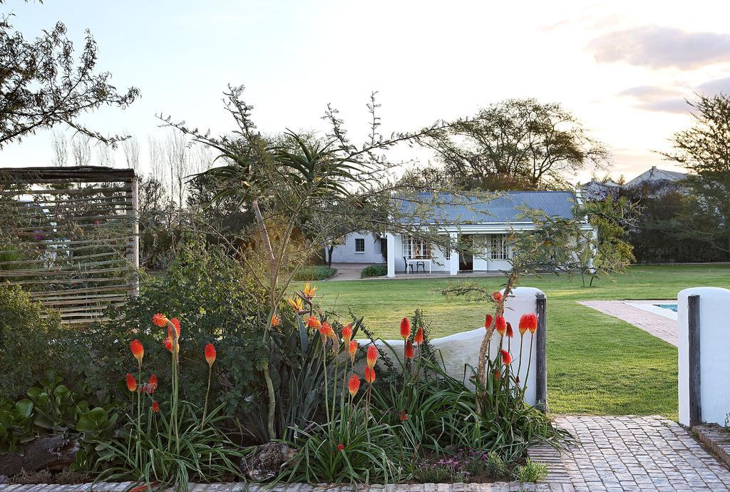 Elephant House Addo Exterior foto