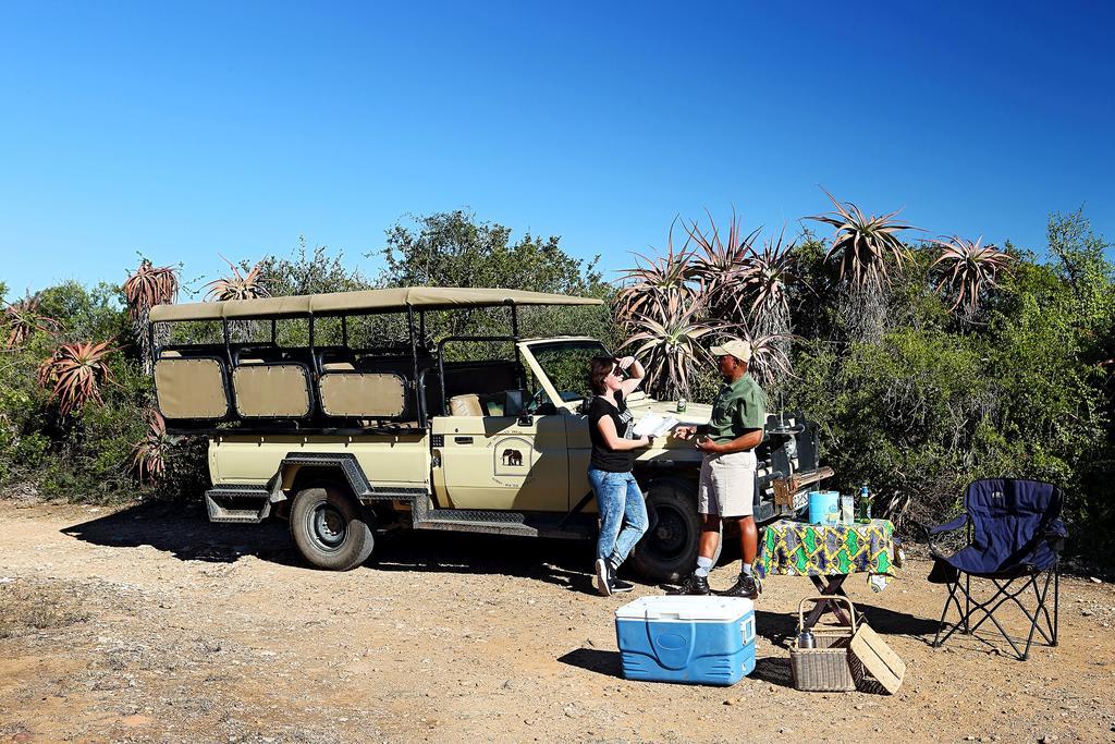 Elephant House Addo Exterior foto