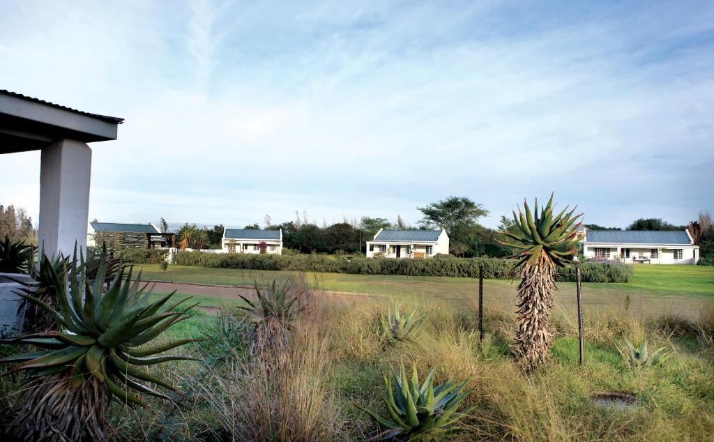 Elephant House Addo Quarto foto
