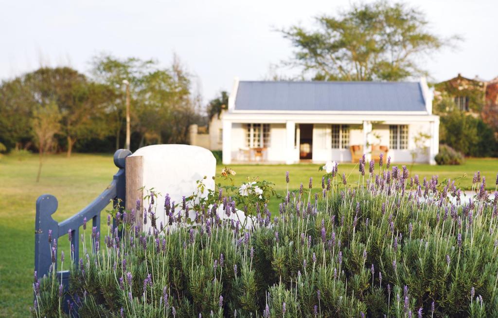 Elephant House Addo Quarto foto